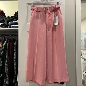 BNWT Zara wide leg pink pants